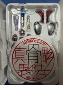 S.H.Figuarts Kamen Rider 10Th