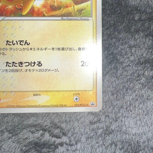 Pok Mon Trading Card Game 2006
