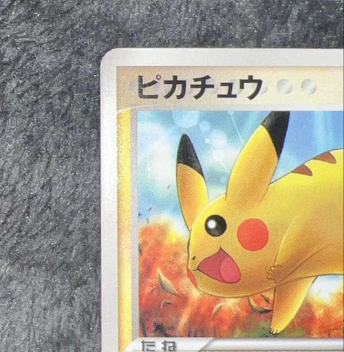 Pok Mon Trading Card Game 2006