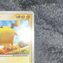 Pok Mon Trading Card Game 2006