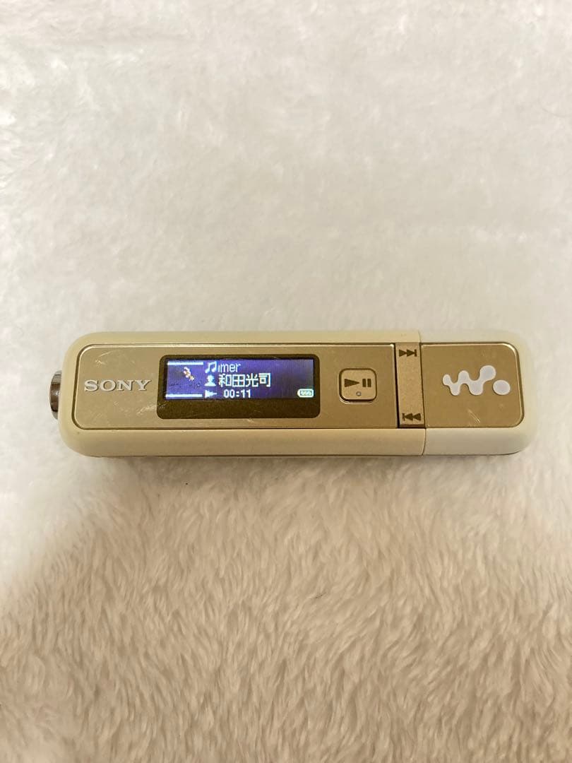 Sony Digital Audio Player Nw-E026F 4Gb