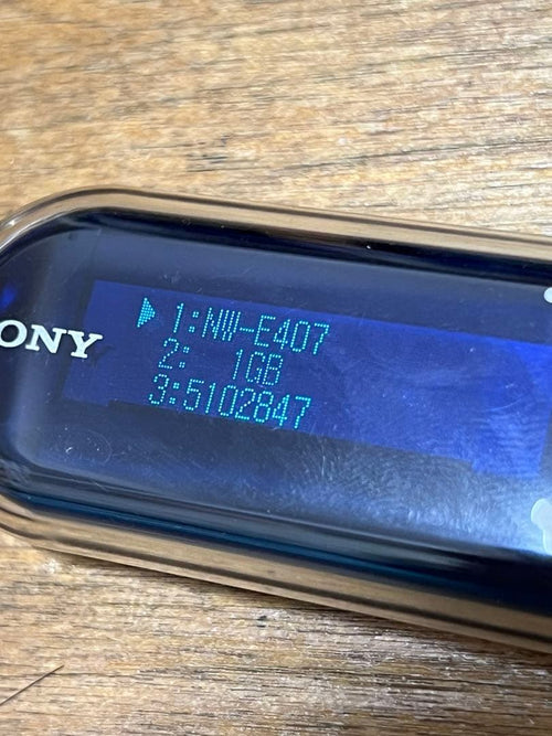 Sony Digital Audio Players Walkman Nw-E407