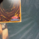 Yu-Gi-Oh! Ocg Duel Monsters (Japanese) 25Th