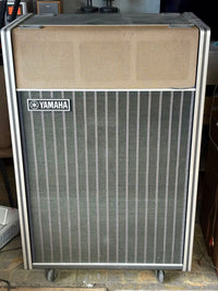 Yamaha Guitar Amplifiers Ra-200