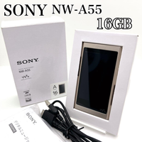 Sony Digital Audio Player Nw-A55 16Gb