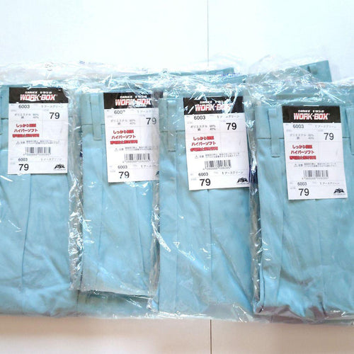Work Pants Cargo Pants/Painter Box 4 79