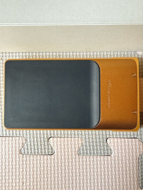Sony Digital Audio Player Nw-Wm1Zm2 256Gb