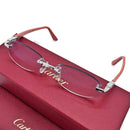Cartier Glasses Ct0455Oj