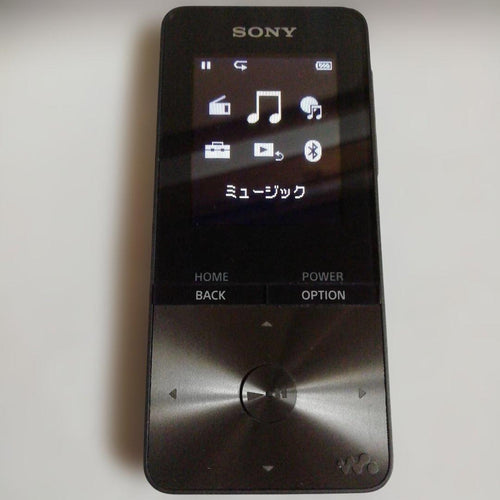 Sony Digital Audio Player Bluetooth 4Gb Nw-S313 63H