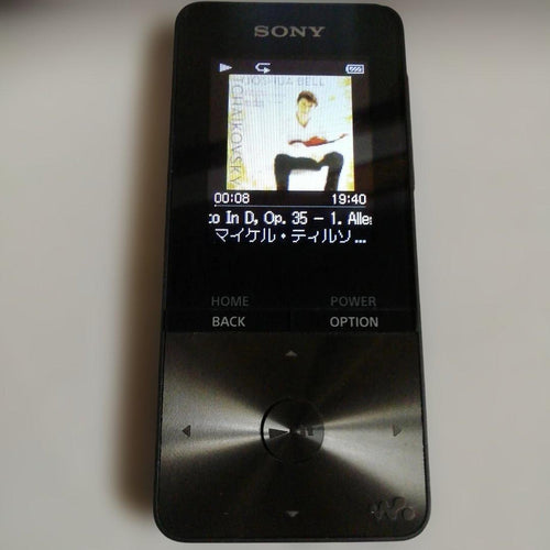 Sony Digital Audio Player Bluetooth 4Gb Nw-S313 63H