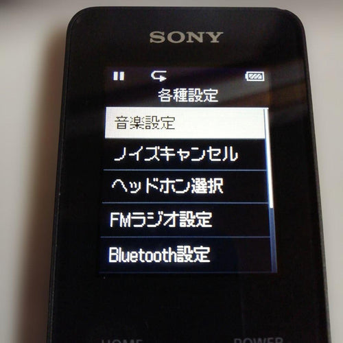 Sony Digital Audio Player Bluetooth 4Gb Nw-S313 63H