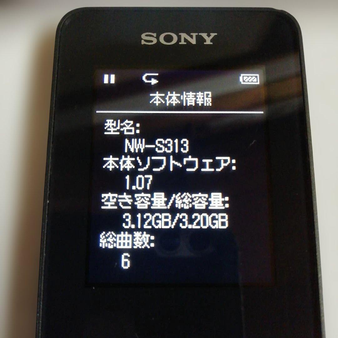 Sony Digital Audio Player Bluetooth 4Gb Nw-S313 63H