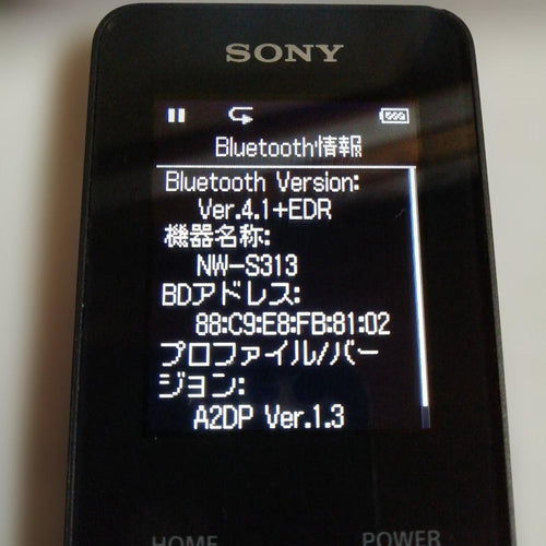 Sony Digital Audio Player Bluetooth 4Gb Nw-S313 63H
