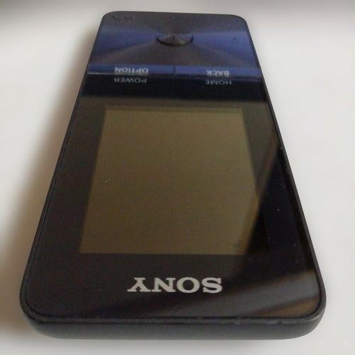 Sony Digital Audio Player Bluetooth 4Gb Nw-S313 63H