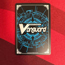 Card Fight Vanguard Sp