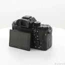 Sony Mirrorless Interchangeable Lips 7R Ii 262