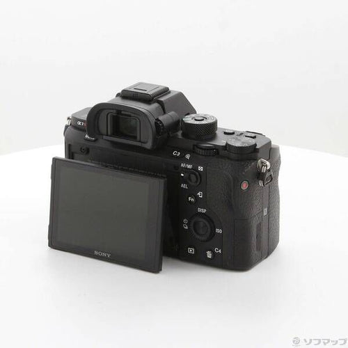 Sony Mirrorless Interchangeable Lips 7R Ii 262