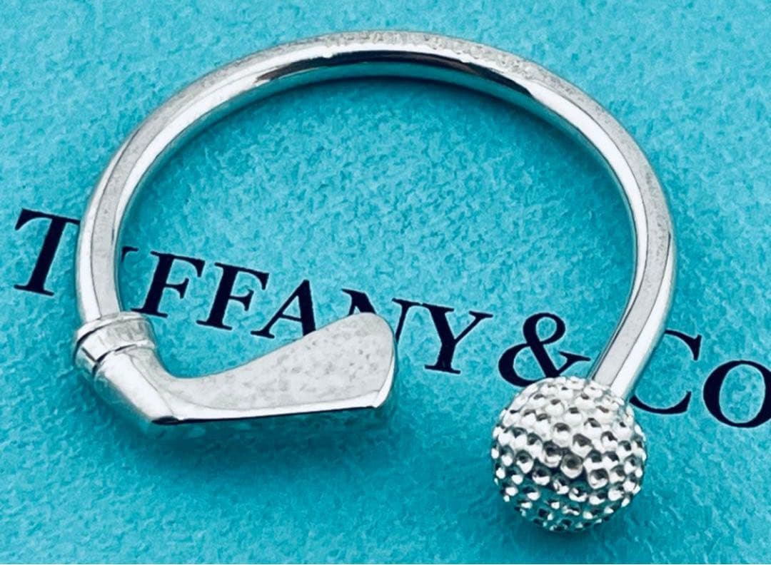 Tiffany Keychains Key Rings F323 925