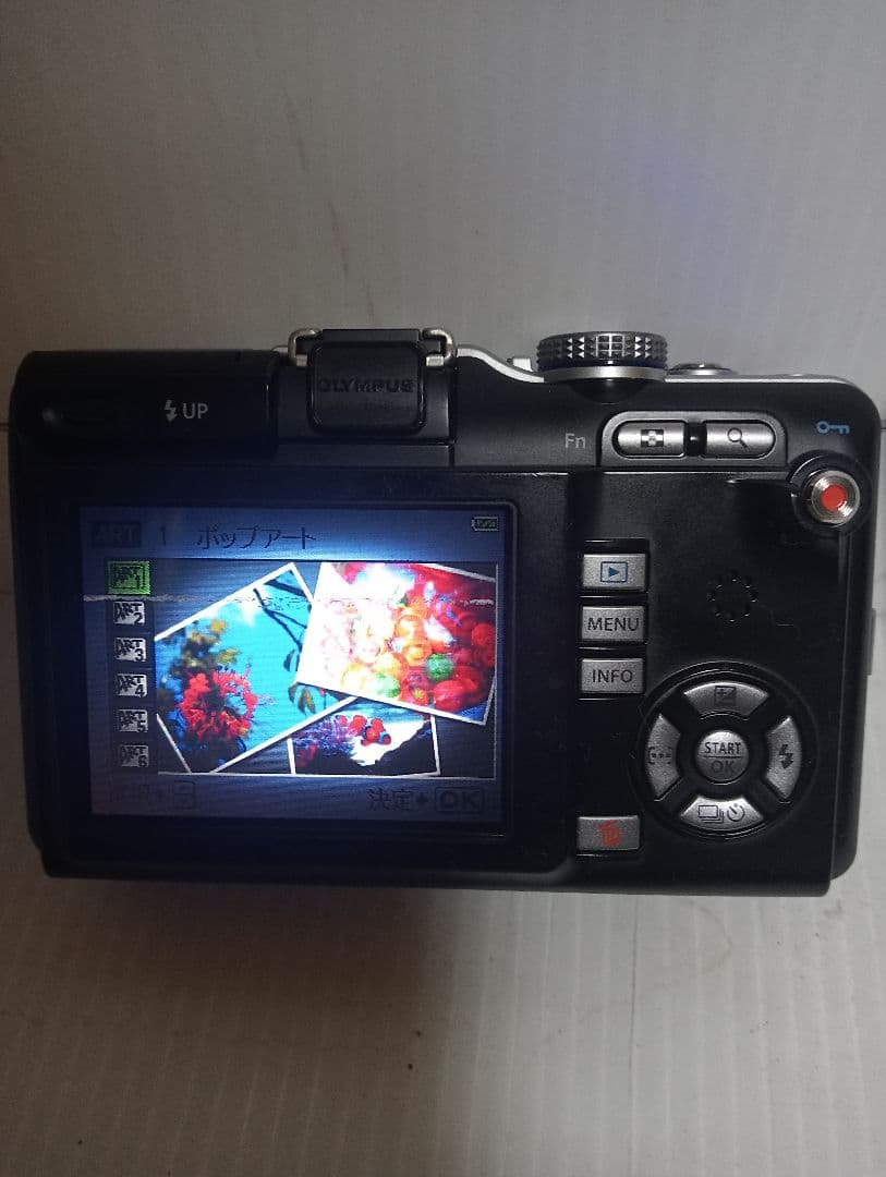 Olympus Mirrorless Interchangeable Lens Cameras