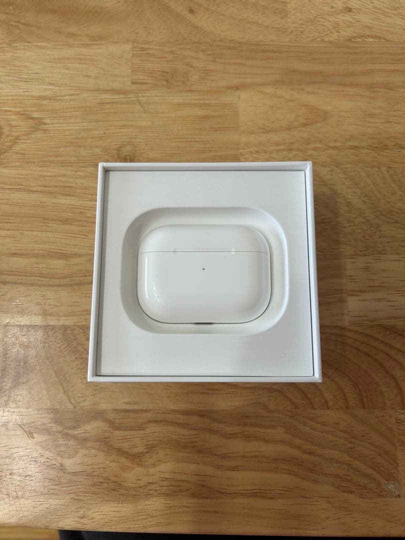 Apple Airpods Body Pro1