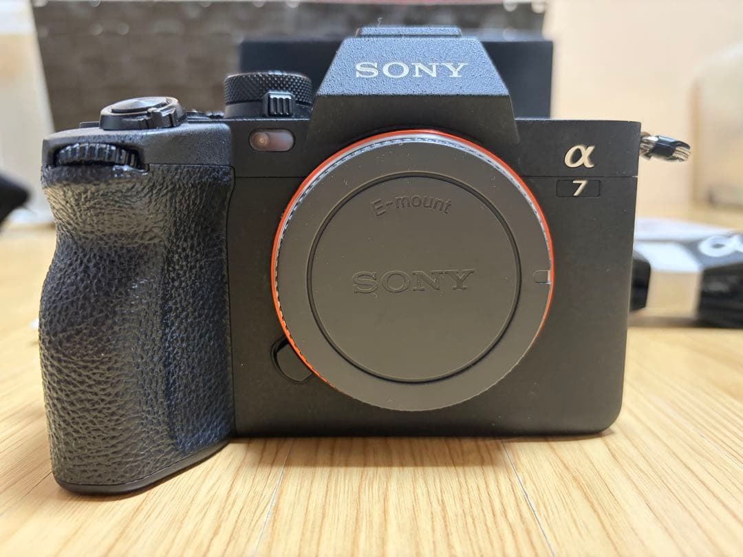 Sony Mirrorless Interchangeable Lips 7