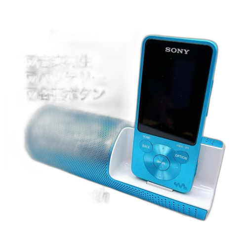 Sony Digital Audio Player Walkman Nw-S14 8Gb