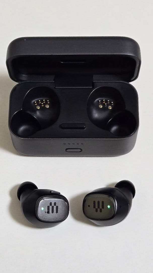 Sennheiser Wireless Earphones Gtw270