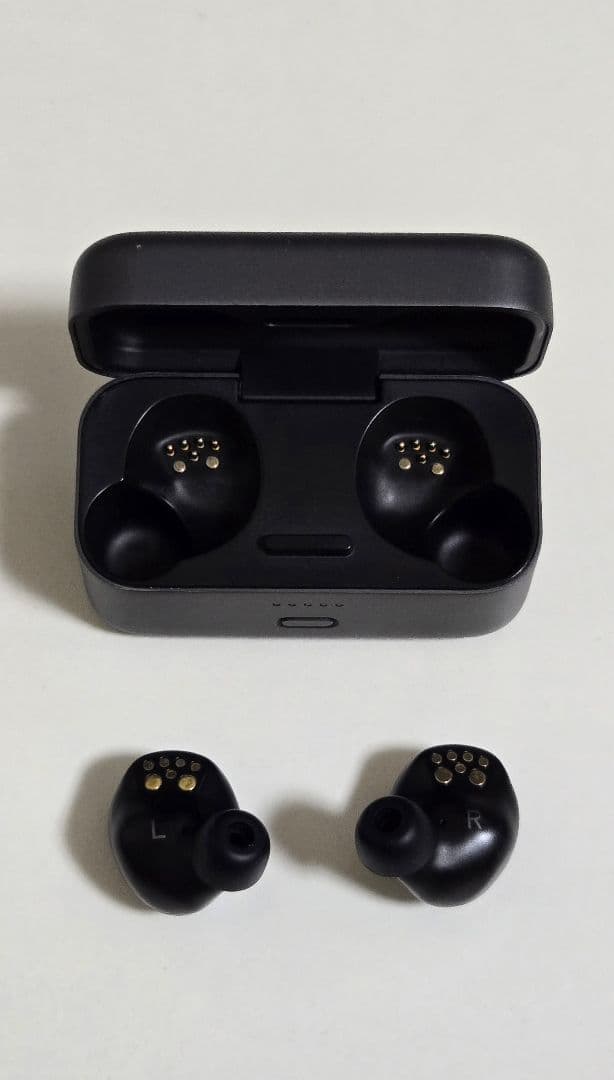 Sennheiser Wireless Earphones Gtw270