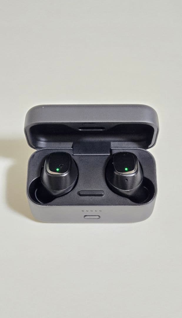 Sennheiser Wireless Earphones Gtw270