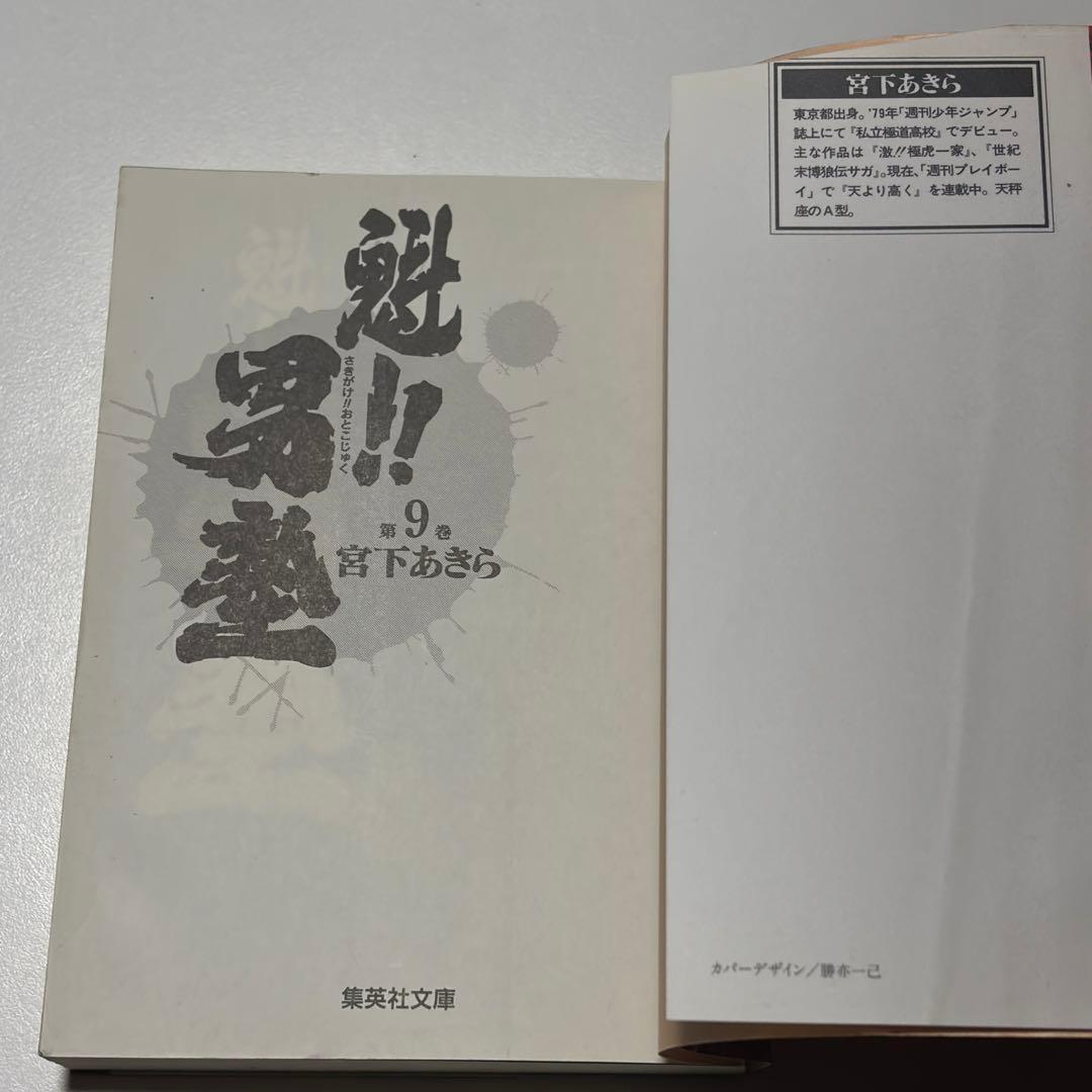 Youth Manga 20