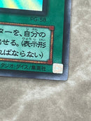 Yu -Gi -Oh! Ocg Duel Monsters Pg-58