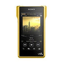 Digital Audio Player Sony Wm1 Nw-Wm1Z N