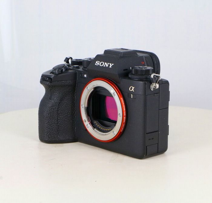 Sony Others 1 [Ilce-1]