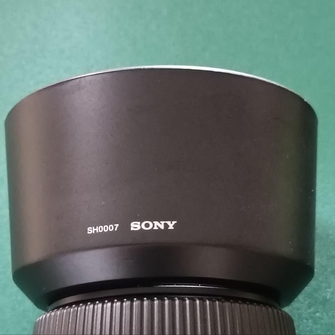 Sony Digital Slrs 100