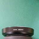 Sony Digital Slrs 100