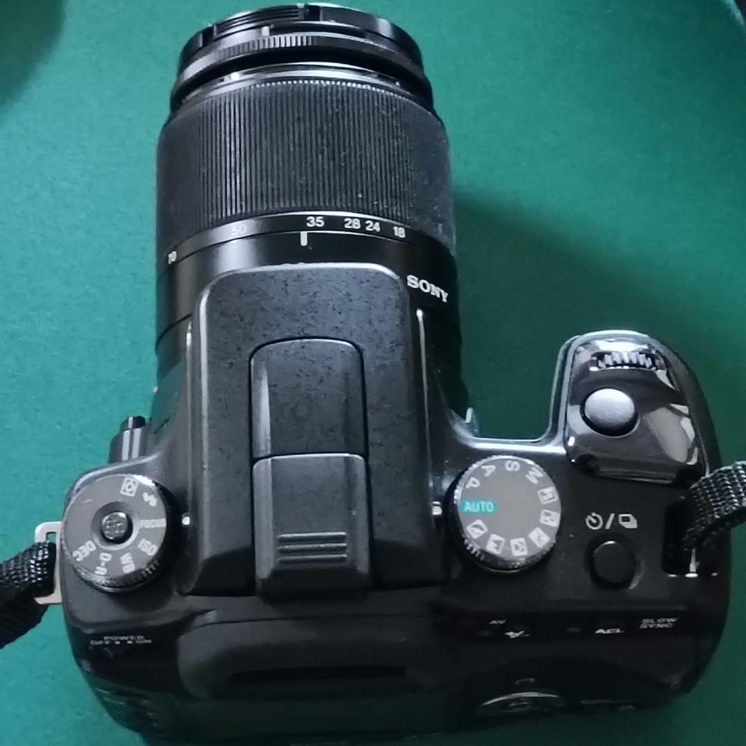Sony Digital Slrs 100