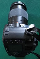 Sony Digital Slrs 100