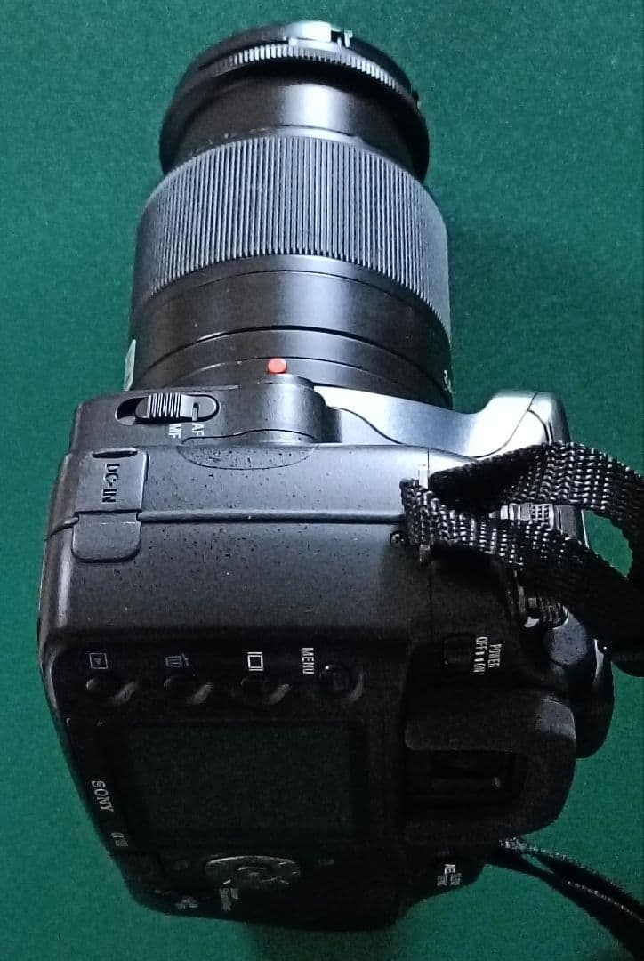 Sony Digital Slrs 100