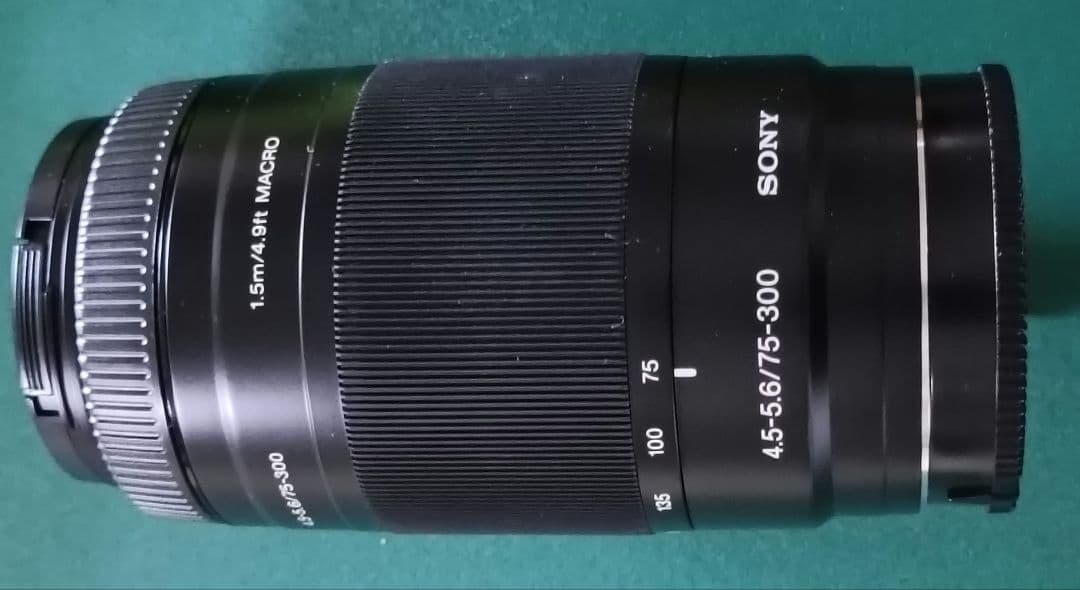 Sony Digital Slrs 100