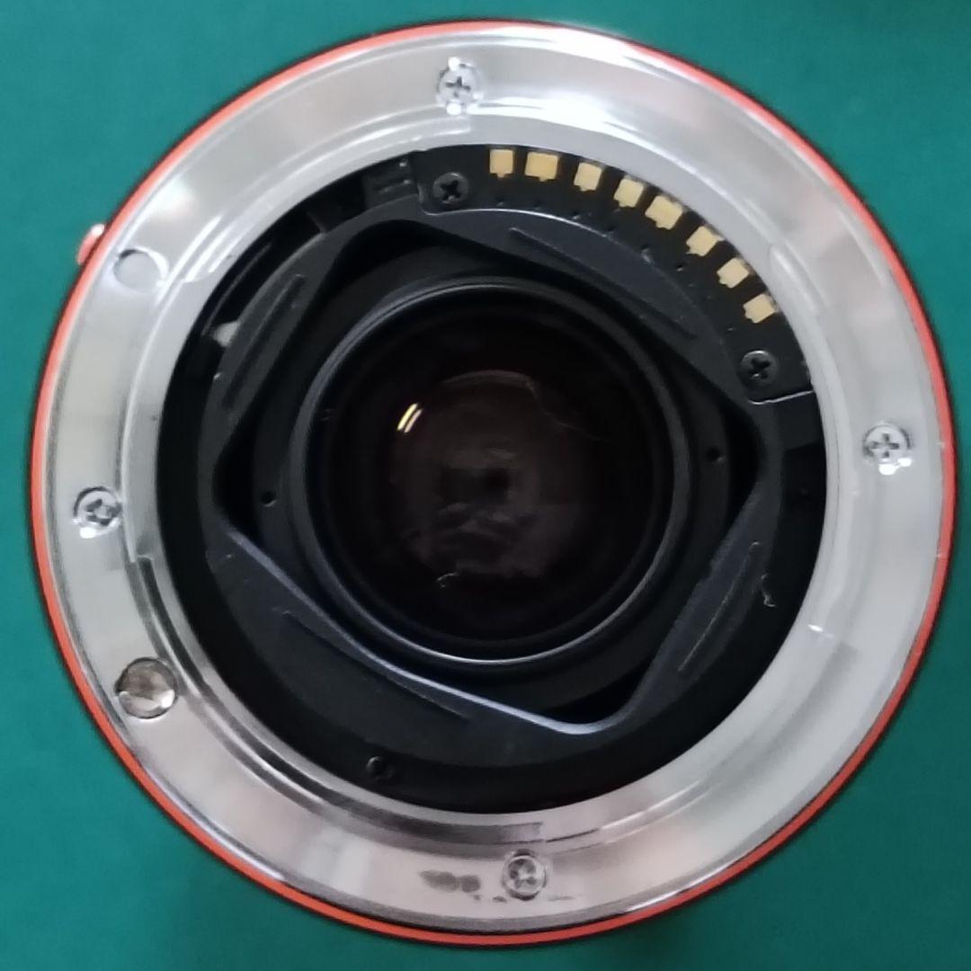 Sony Digital Slrs 100