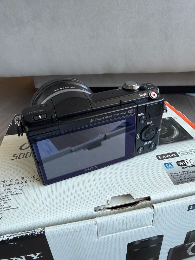 Sony Mirrorless Interchangeable Lens Cameras 5000 2