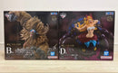 One Piece Ex B