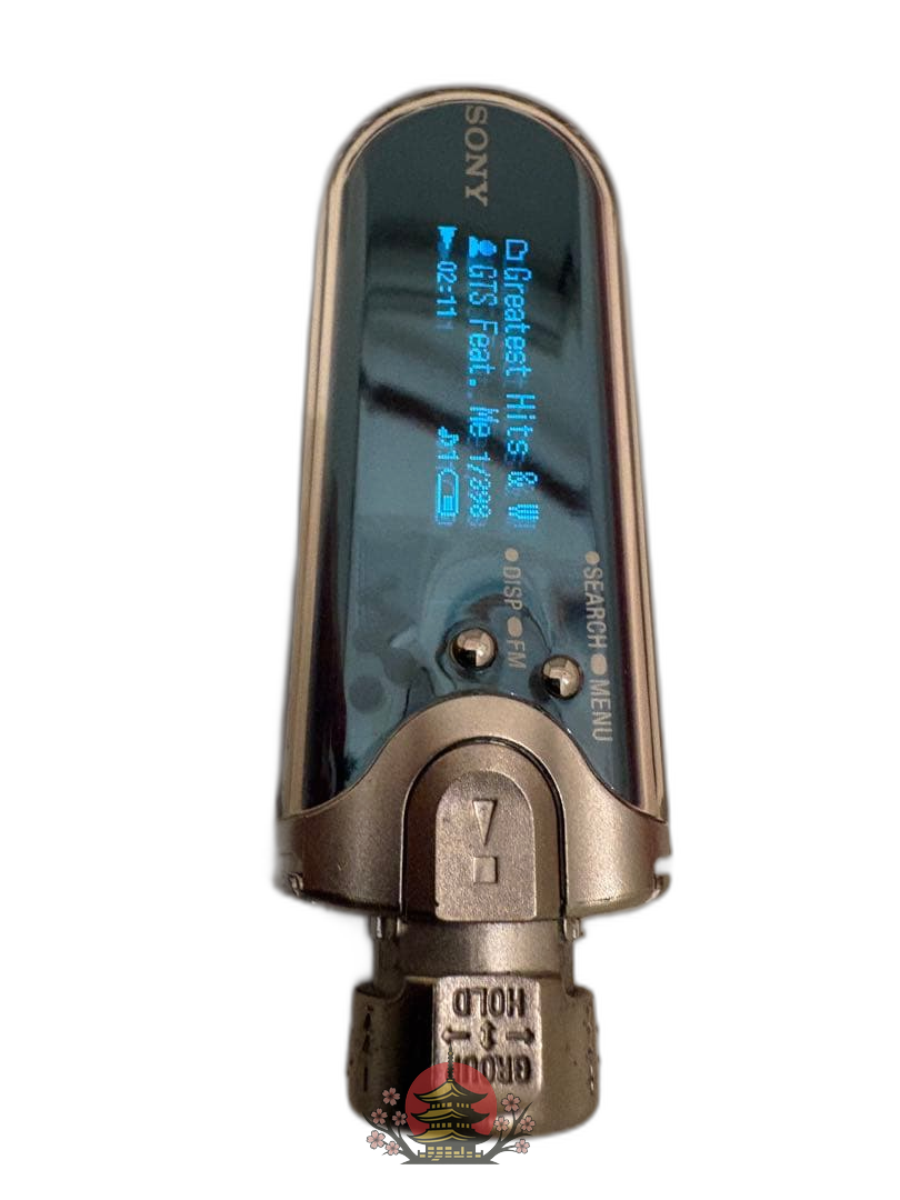 Sony Digital Audio Player Nw-E507 Walkman