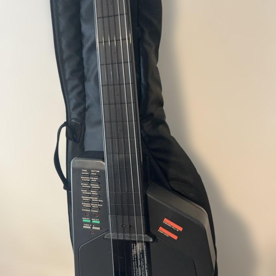 Casio Other Dg-1