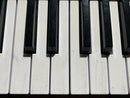 Midi Keyboard Pad Arturia Keylab 61