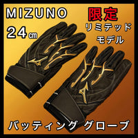 Mizuno Batting Gloves 24 X