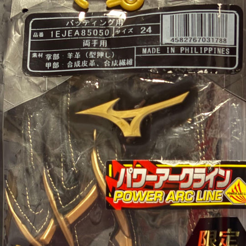 Mizuno Batting Gloves 24 X