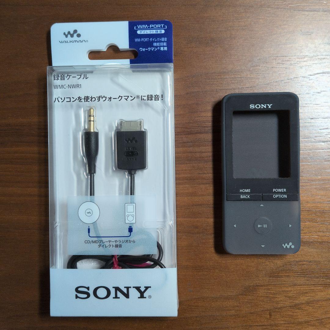 Sony Digital Audio Players Walkman Nw-S313 4Gb
