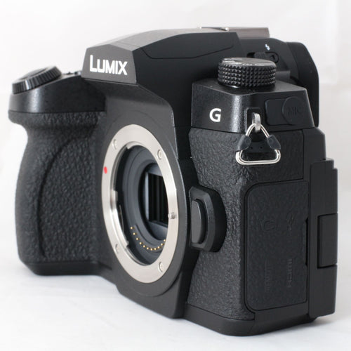 Panasonic Mirrorless Interchangeable Lips 221 G99 Ii Limix G99M2 Dc-G99M2 #4923
