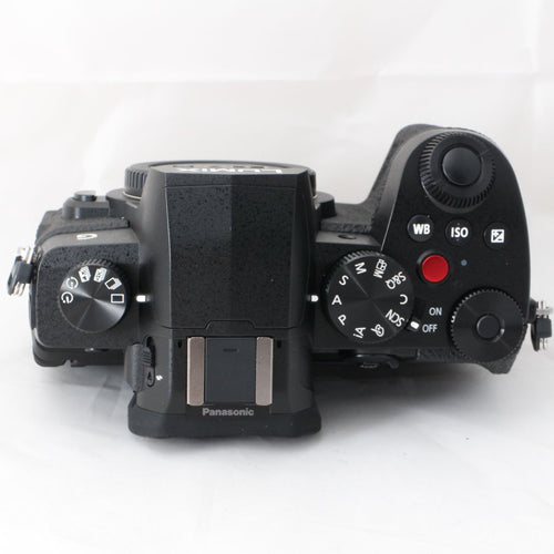 Panasonic Mirrorless Interchangeable Lips 221 G99 Ii Limix G99M2 Dc-G99M2 #4923